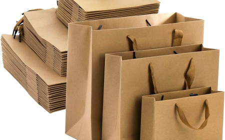 Recycled Paper Bags Market Size, Trends, and Growth Forecast 2025-2032