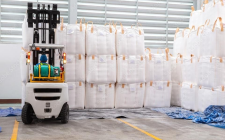 Industrial Bulk Packaging Market Size, Trends, and Growth Forecast 2025-2032