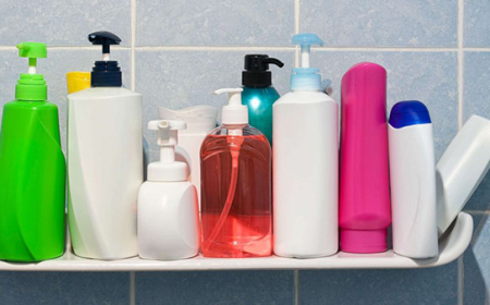 Global Toiletries Market Size, Trends, and Growth Outlook 2025-2032