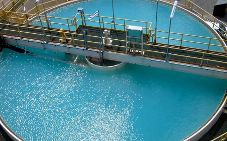 Produced Water Treatment Market Size, Trends, and Growth Outlook 2025-2032