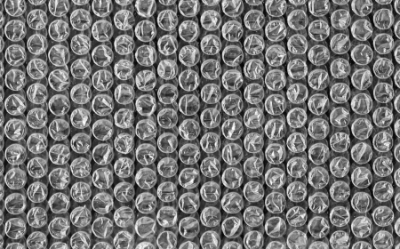 Comprehensive Analysis of the Bubble Wrap Packaging Market Trends and Growth