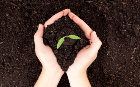 Global Micronutrient Fertilizers Market: Size, Strategic Outlook