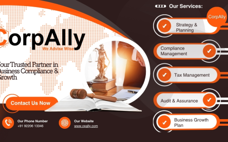 Thorough Financial Audits to Safeguard and Strengthen Your Business