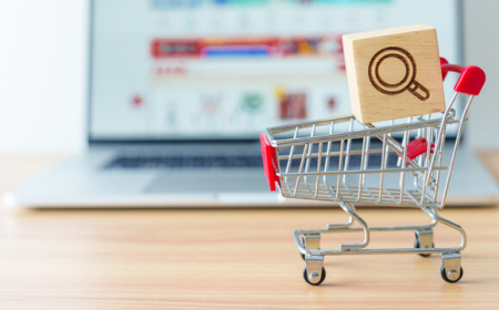 India's Booming Quick E-commerce Industry