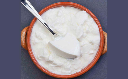 Fresh Yoghurt in Sharjah – Rediscovering Authentic Dairy Culture