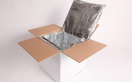 Insulated Packaging Market Size and Growth: Trends, Opportunities & Players