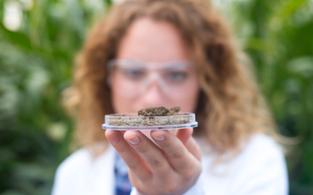 Navigating the Complex Landscape of Pharmaceutical Marketing: Strategies for Success