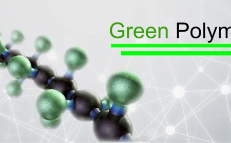 Green Polymers: The Future of Sustainable Materials