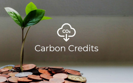 Singapore Takes The Lead In Implementing Carbon Credit System
