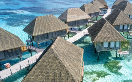 Alternative Accommodation Market: Size, Growth, and Future Prospects