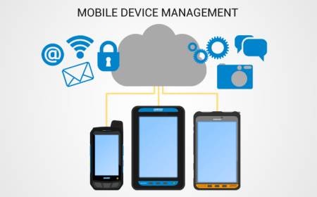 Mobile Device Management Market Size, Trends, and Growth Forecast 2025-2032