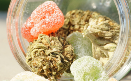 Ice Cream Cake Strain: Dessert-Grade Flavor with Deep Indica Relief