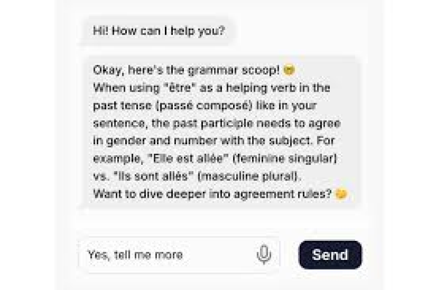 Mastering the Language: The Power of a French Grammar Checker