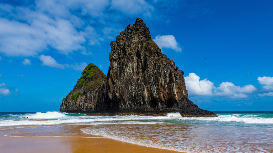 Discover the Services of the Turkish Airlines New York City Office