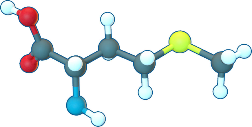 United Kingdom Pelargonic Acid Market Size, Trends, and Growth Forecast 2025-2032