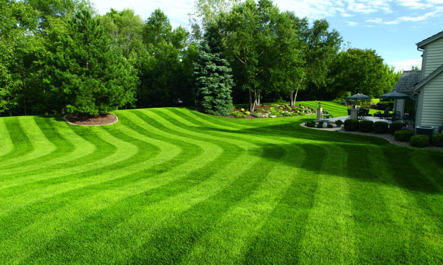 Transform Your Yard with Expert Landscaping Forest Hill Services