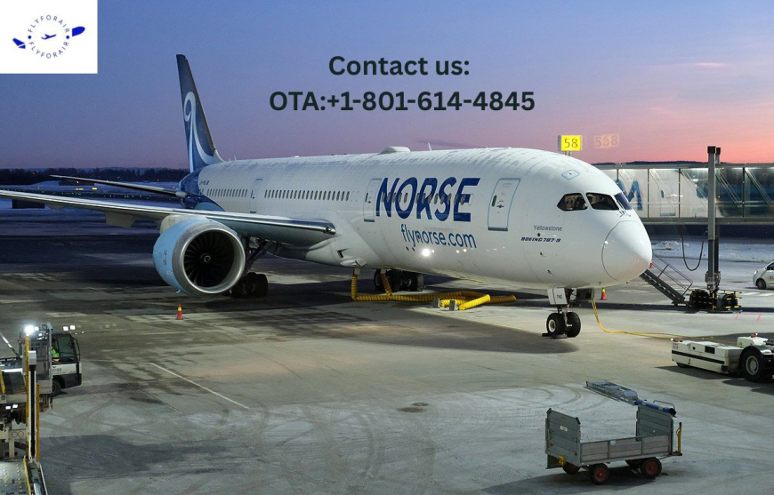 How do I contact to a live person at Norse?