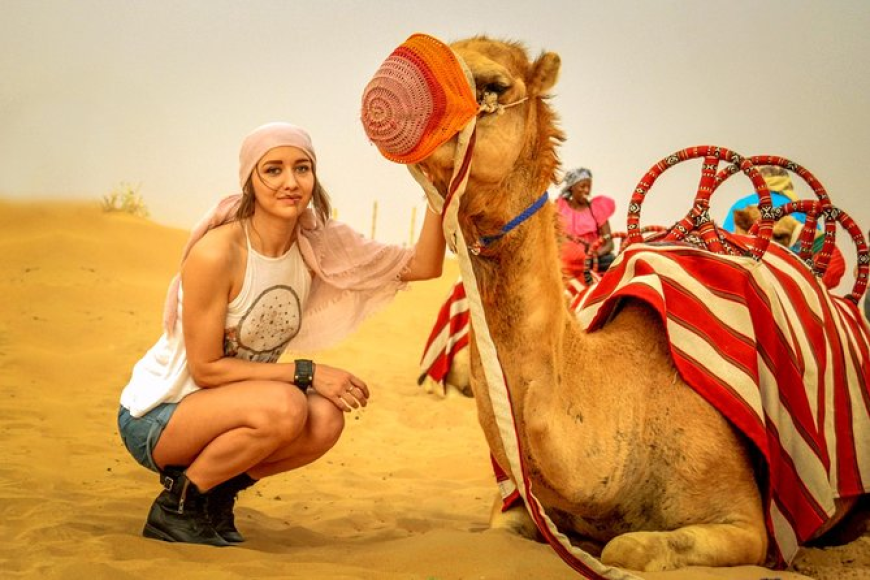 Top Tour Operators Offering Camel Ride Desert Safari Dubai