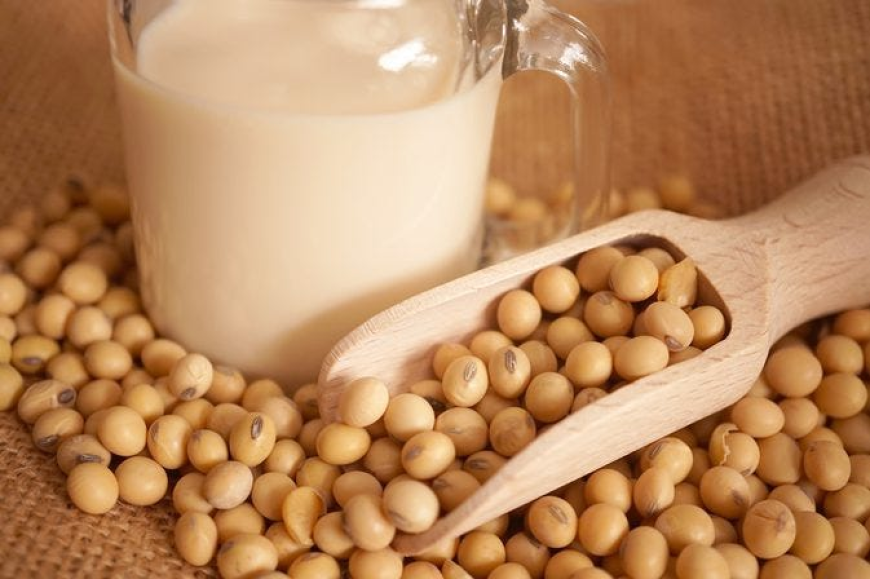 Organic Soy Lecithin Market Size, Trends, and Growth Opportunities 2025-2032