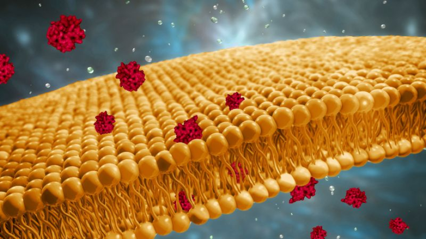 Global Cyclosporine Drug Market Size, Trends, and Growth Forecast 2025-2032