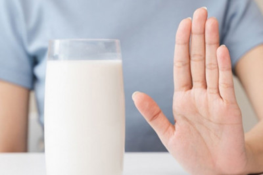 Lactose Intolerance Market: Size, Trends, and Strategic Insights 2025-2032