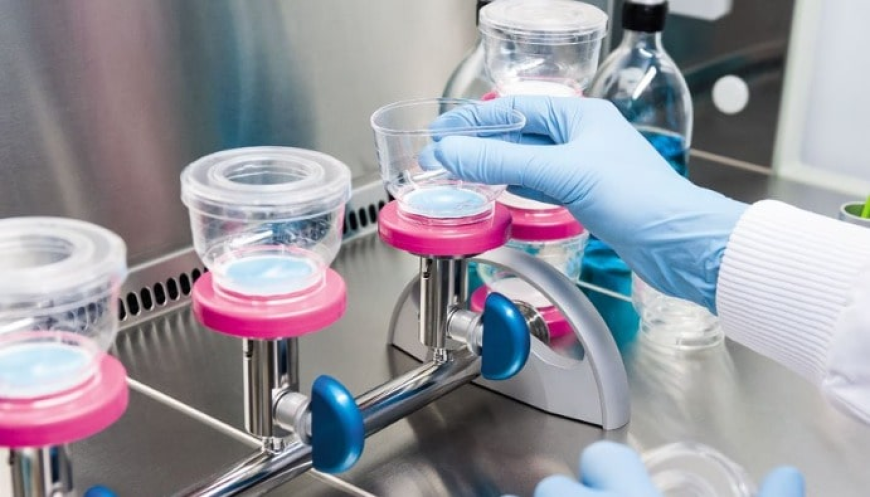 Bioburden Testing Market Size, Trends, and Growth Strategies Analysis