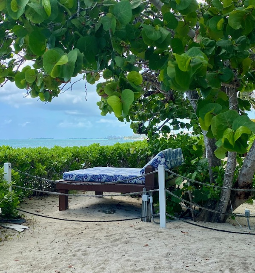 What is the Ideal Ibogaine Treatment Setting?