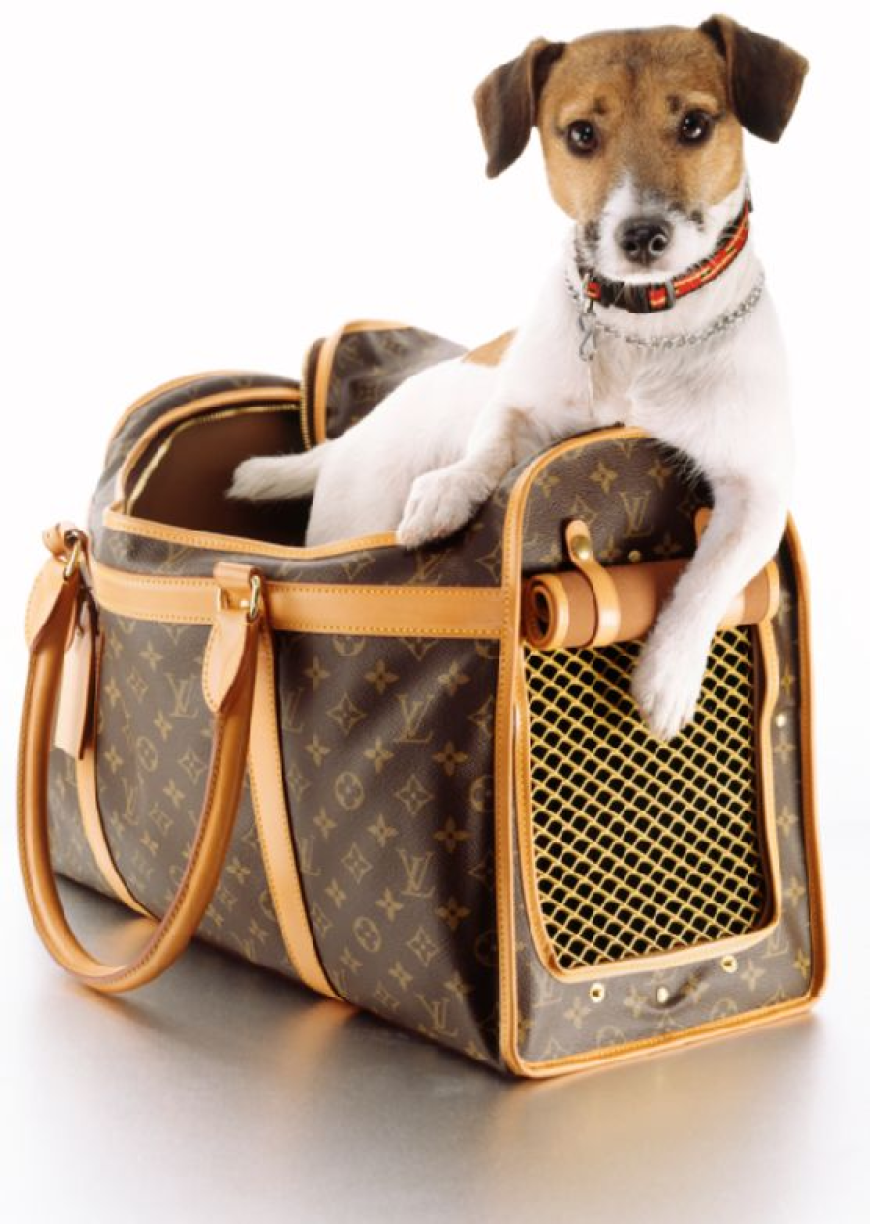 Why a Dog Carry Sling Is the Perfect Solution for Pet Owners on the Go
