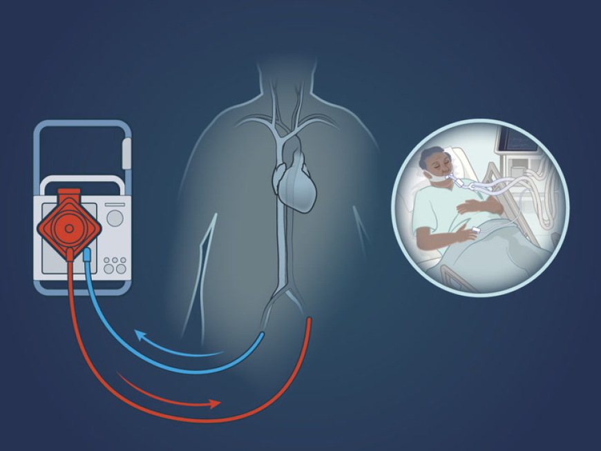 ATTR Amyloidosis Treatment Market Size, Trends, and Growth Strategies