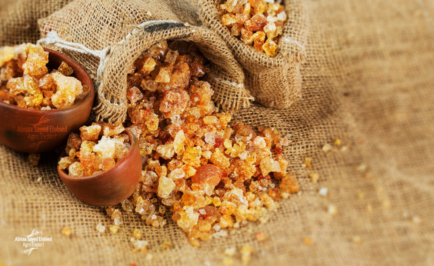 Global Gum Arabic Market: Size, Trends, and Strategic Insights 2025-2032