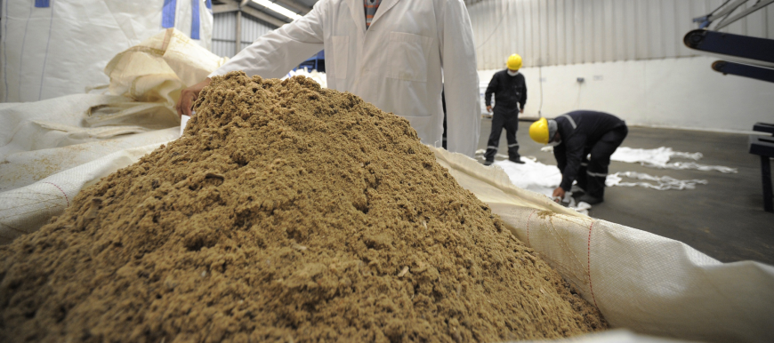 Exploring Growth Opportunities in the Fishmeal Market