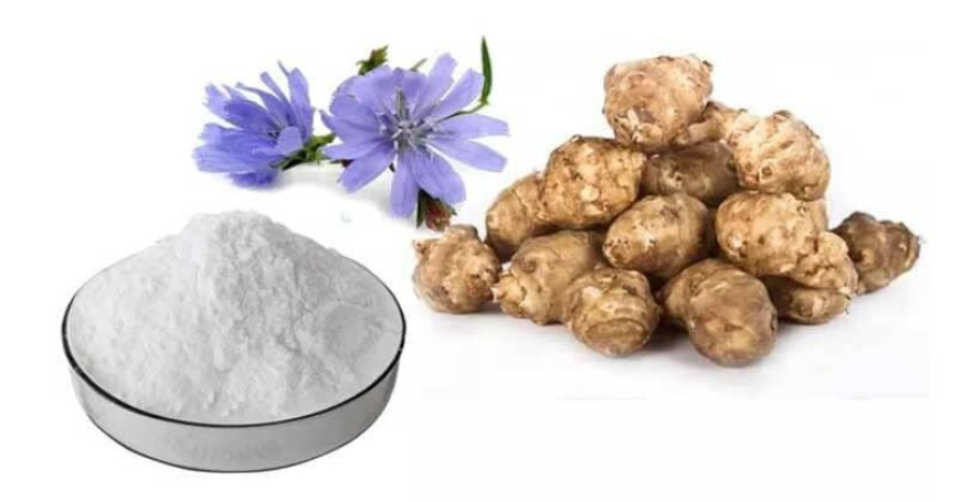Inulin Market Size, Trends, and Growth Analysis 2025-2032