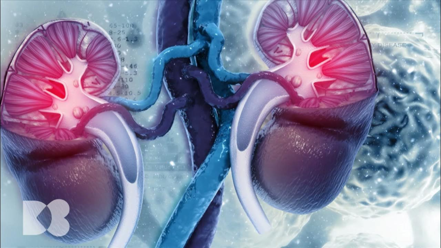 End-Stage Renal Disease (ESRD) Treatment Market: Size, Trends, and Growth Strategies