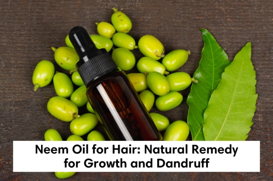 Neem Oil for Hair: Natural Remedy for Growth and Dandruff