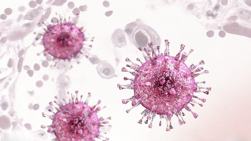 Cytomegalovirus (CMV) Infection Therapeutic Market Outlook 2025-2032