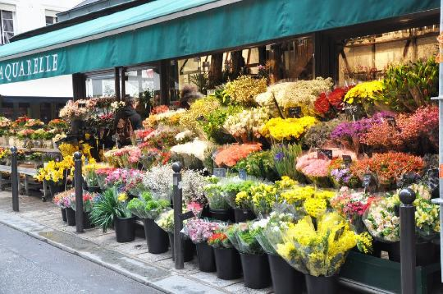 Pick Professionals at Flowers Mart to Get the Best Flower Bouquet