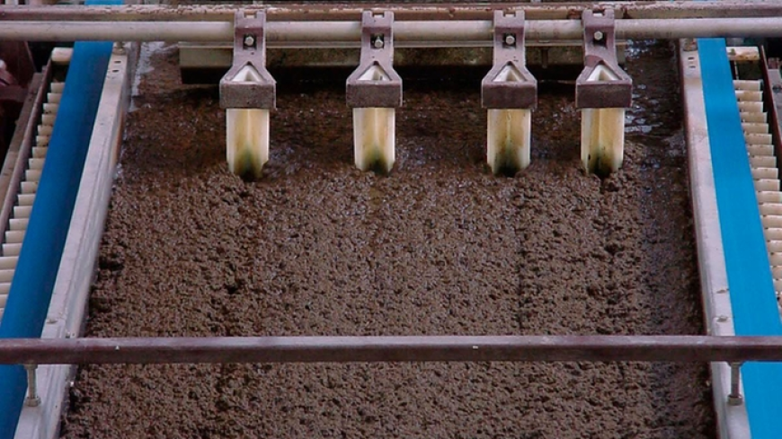 Sludge Treatment Chemicals Market: Size, Trends, and Strategic Insights 2025-2032