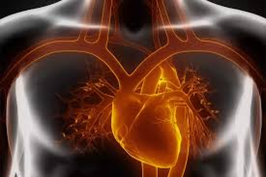 Cardiac Amyloidosis Market Size, Trends, and Growth Opportunities to 2032