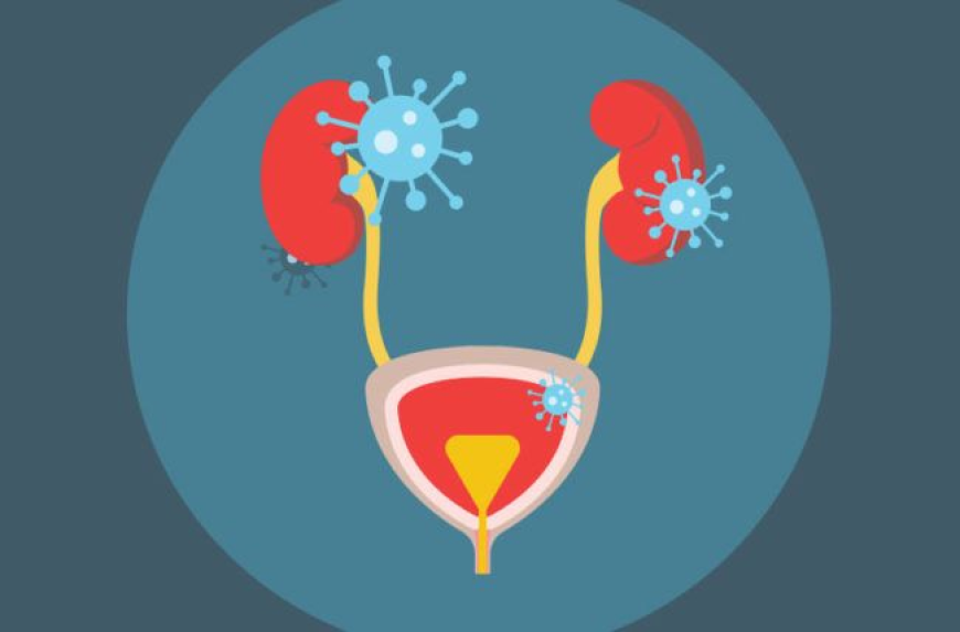 Urinary Tract Infection Therapeutic Evolution and Treatment Advancement