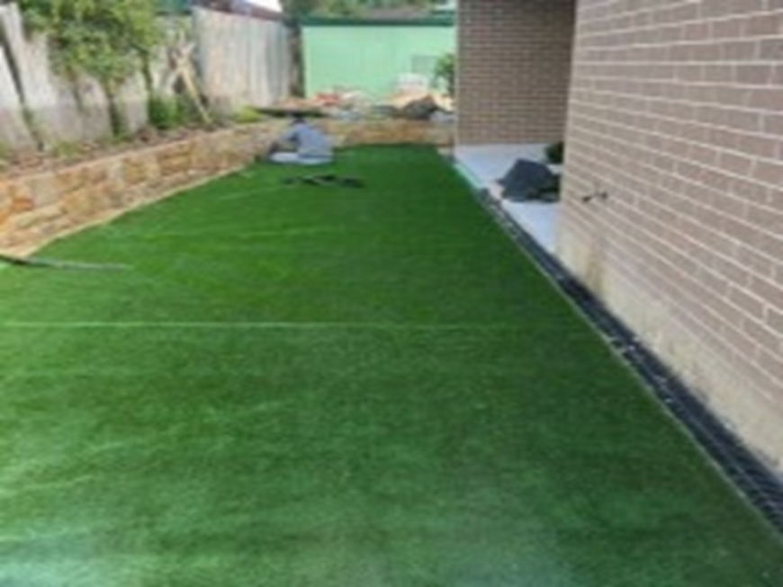 Fall Planting Tips Every Home Gardener Learns from a Sydney Landscaping Contractor