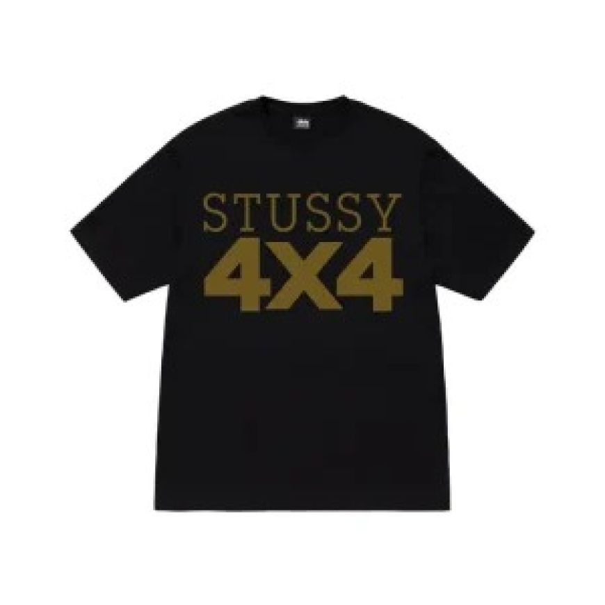 Stussy hoodie an iconic piece that continues to shape