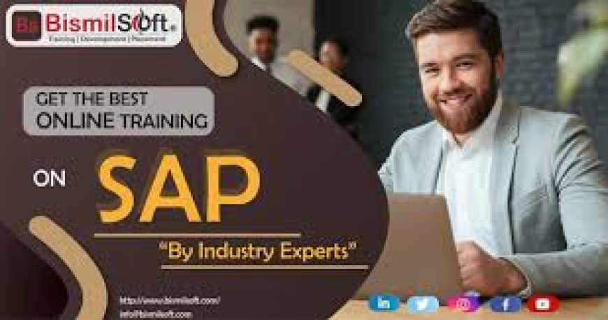 Real-Time Projects and Placement Support: What to Expect from SAP FICO Training in Delhi