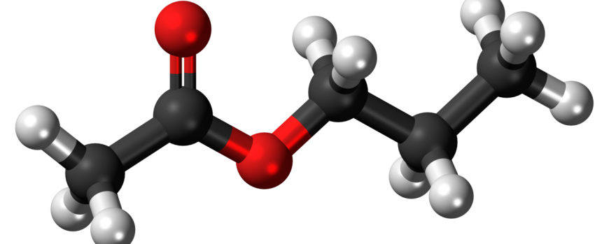 Propionic Acidemia Therapeutic Market: Size, Trends, and Growth Insights