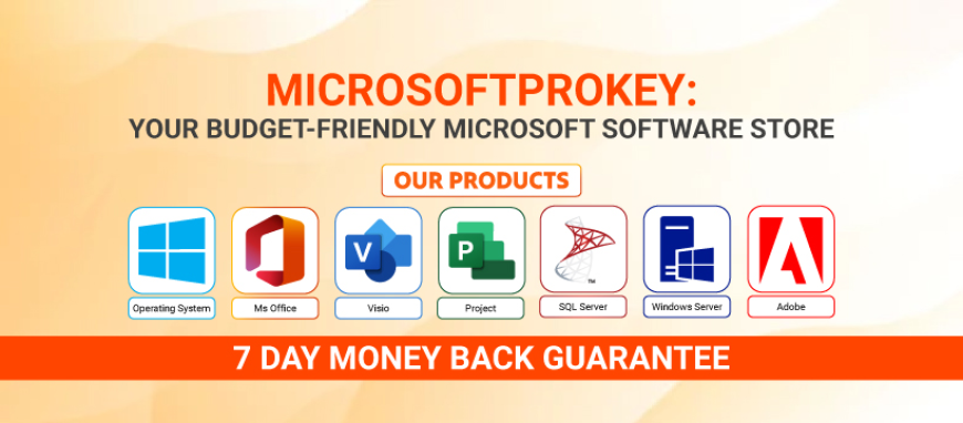 Can I Buy Good Quality Microsoft Windows 10 Pro from Any Website for Low Money?