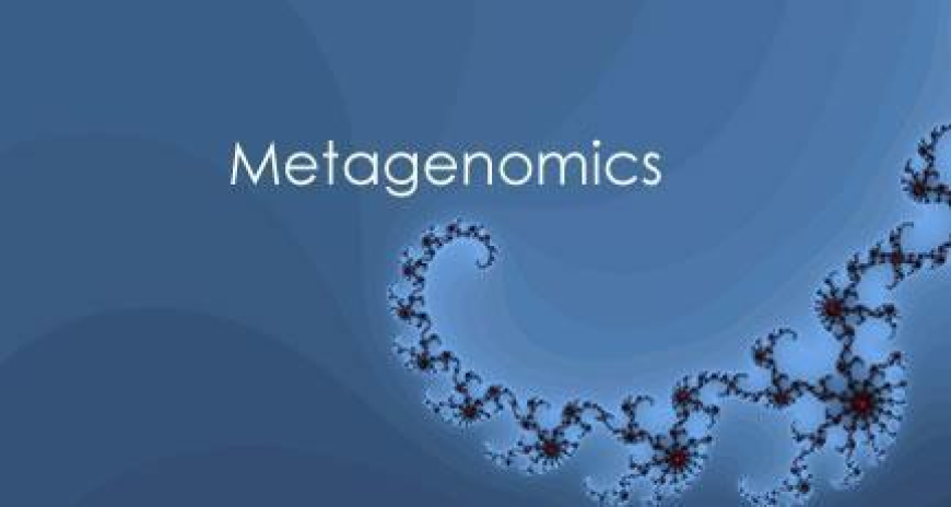 Metagenomics Market Size, Trends, and Growth Strategies Analysis 2025-2032