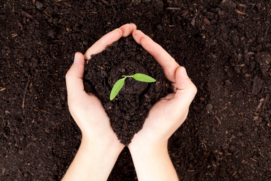 Global Micronutrient Fertilizers Market: Size, Strategic Outlook