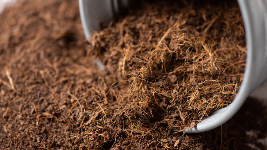 Growing Medium Market: Size, Trends, and Strategic Growth Insights