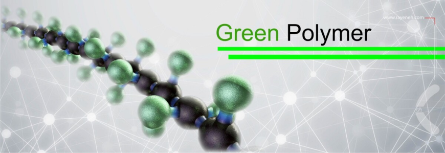 Green Polymers: The Future of Sustainable Materials