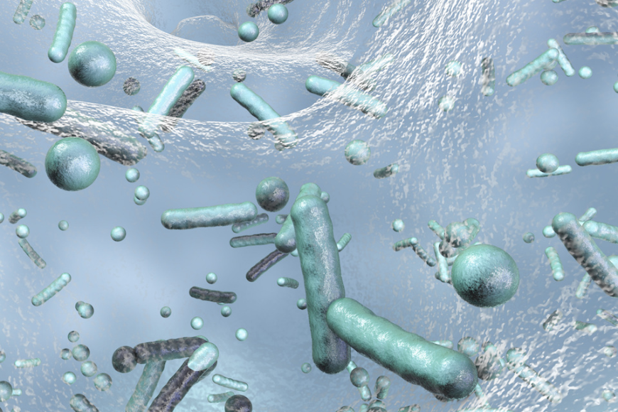 Biofilm Treatment Market Size, Trends, and Business Growth Outlook 2025-2032