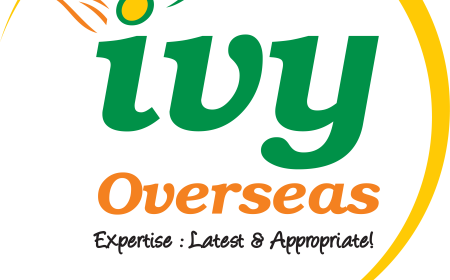 Abroad education consultants in Hyderabad